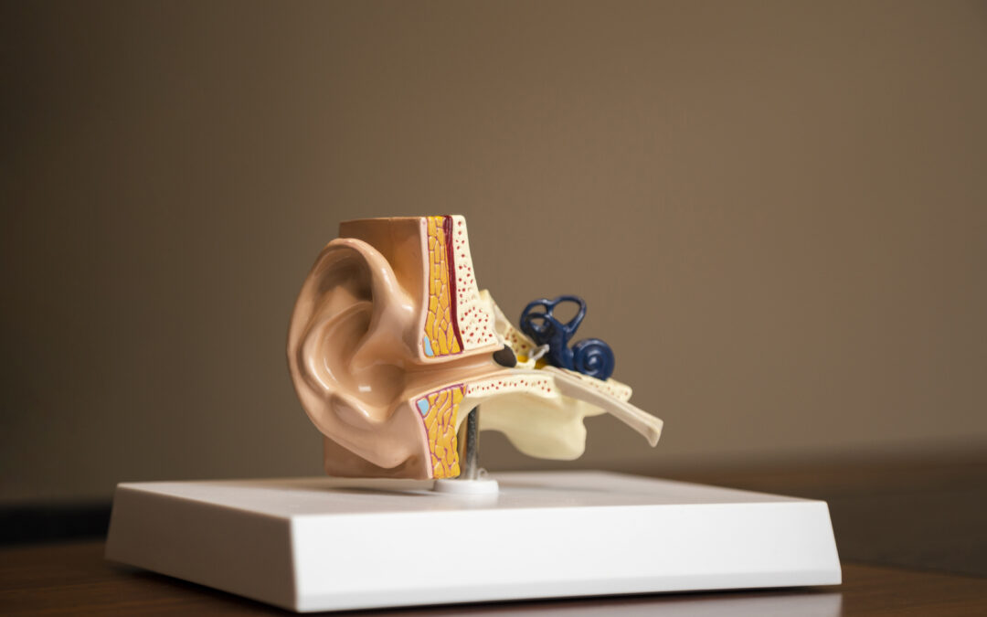 ¿Por qué colaborar con el Instituto Audiológico Integral? Beneficios para tu centro